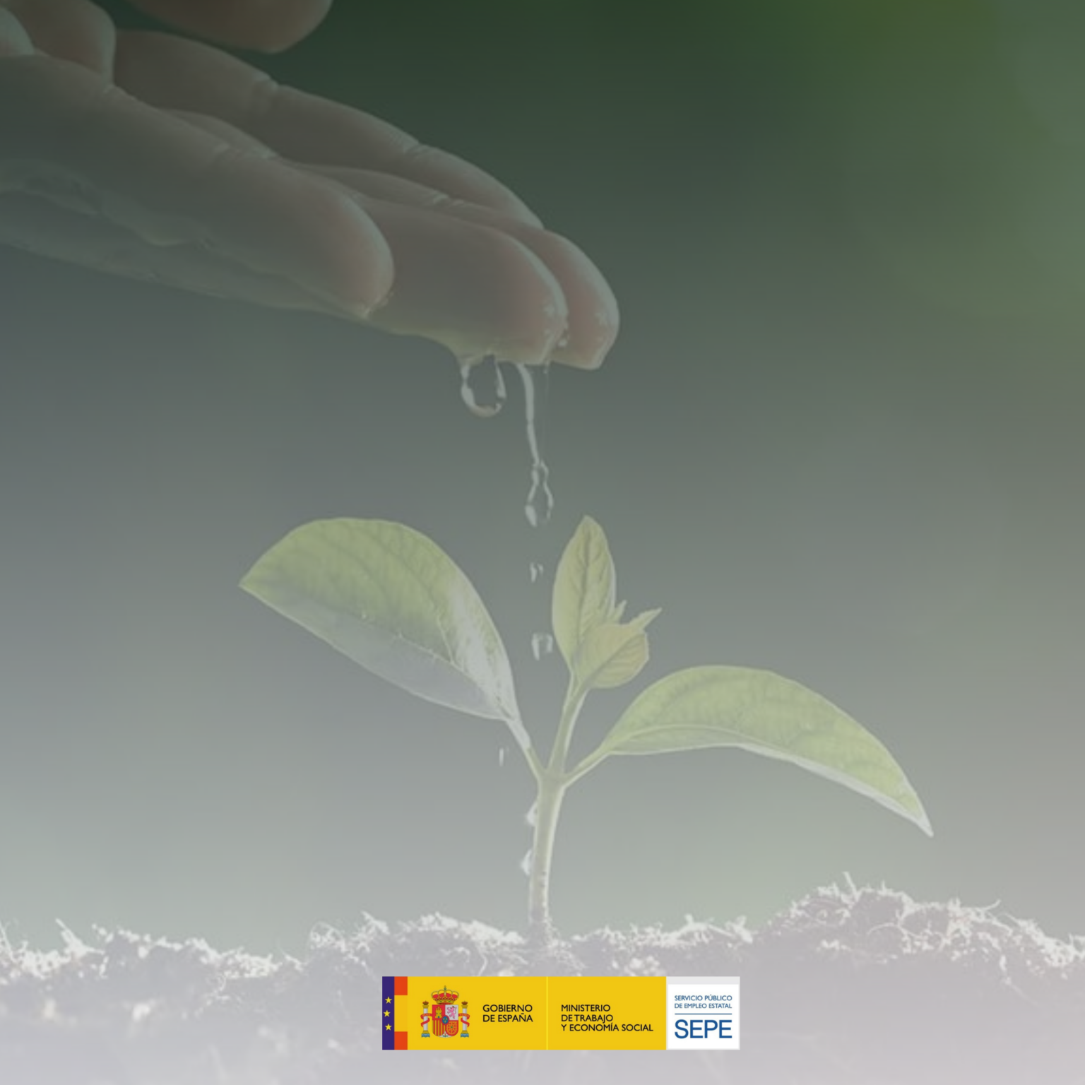 USO EFICIENTE DEL AGUA EN EL SECTOR AGRARIO | Savia Formación