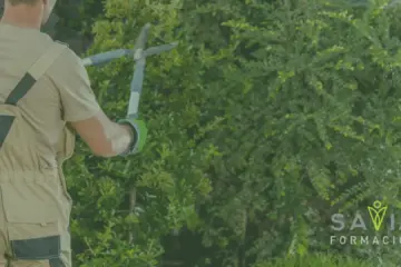 Instructor de jardinería de Savia Formación podando un seto verde, demostrando técnicas de mantenimiento de zonas verdes en un curso práctico.