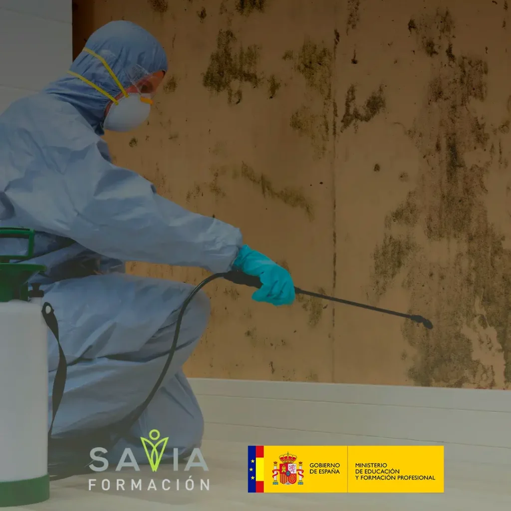 Alumno con equipo de protección aplicando tratamiento en pared durante el curso control de plagas gratis con certificado de profesionalidad impartido por savia formación y el Ministerio de Educación y Formación Profesional.