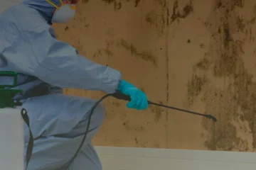 Alumno con equipo de protección aplicando tratamiento en pared durante el curso control de plagas gratis con certificado de profesionalidad impartido por savia formación y el Ministerio de Educación y Formación Profesional.